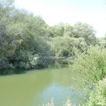 Foto Corredor Ambiental del Río Manzanares en el Monte de El Pardo 20