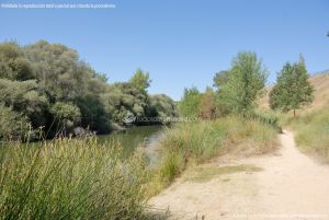 Foto Corredor Ambiental del Río Manzanares en el Monte de El Pardo 32