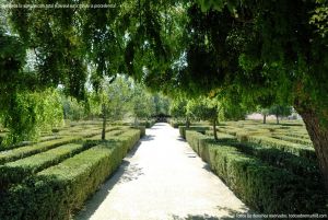 Foto Jardines Casita del Príncipe de Madrid 9