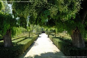Foto Jardines Casita del Príncipe de Madrid 15