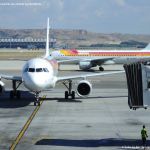 Foto Terminal 4 del Aeropuerto Madrid-Barajas 18