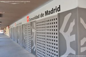 Foto Museo Arqueológico Regional de la Comunidad de Madrid 5