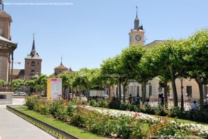 Foto Plaza de Cervantes de Alcala de Henares 30