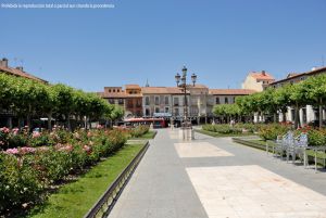 Foto Plaza de Cervantes de Alcala de Henares 32