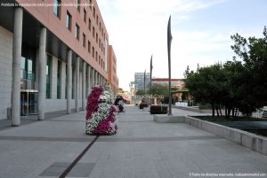 Foto Plaza Mayor de Alcobendas 23