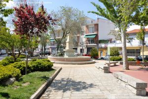 Foto Plaza del Maestro Almeida 7