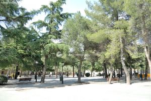 Foto Plaza de España de San Fernando de Henares 19