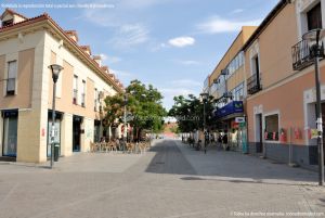 Foto Avenida de la Constitución de San Fernando de Henares 7