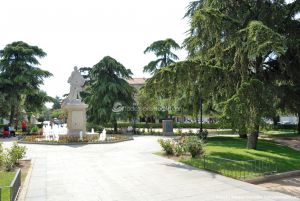 Foto Plaza de Fernando VI 13