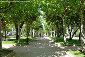 Foto Parque Avenida de Madrid 12