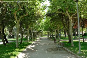 Foto Parque Avenida de Madrid 13