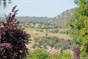 Foto Vistas de San Agustín de Guadalix 5