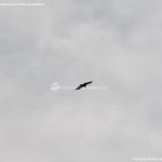 Foto Águila sobrevolando Galapagar 10