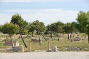 Foto Área Recreativa Ermita de El Cerrillo 2