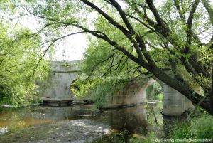Foto Puente Herreño 5