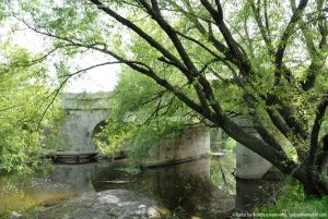 Foto Puente Herreño 9