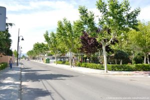 Foto Carretera de Guadarrama 2