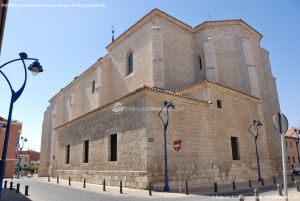 Foto Catedral de Santa María Magdalena 11