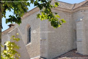 Foto Catedral de Santa María Magdalena 13