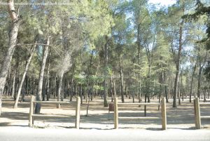 Foto Parque Forestal del Cerro de los Ángeles 13