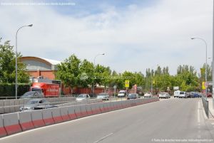 Foto Avenida de los Almendros 2