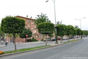 Foto Avenida de la Virgen de Loreto 3