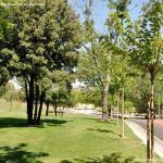Foto Parque Central de Tres Cantos 18