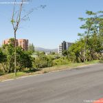 Foto Parque Central de Tres Cantos 52