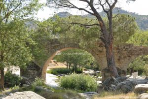 Foto Puente Romano de la Mocha 13