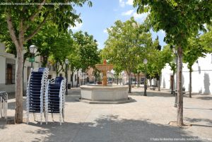 Foto Plaza de la Constitución de Villaviciosa de Odon 13