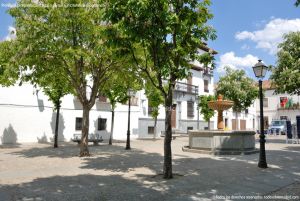 Foto Plaza de la Constitución de Villaviciosa de Odon 20