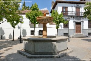 Foto Fuente Plaza de la Constitución de Villaviciosa de Odon 4