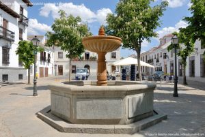 Foto Fuente Plaza de la Constitución de Villaviciosa de Odon 6