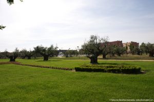 Foto Parque de la Hermandad de Nuestra Señora de la Soledad 14
