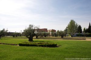 Foto Parque de la Hermandad de Nuestra Señora de la Soledad 15