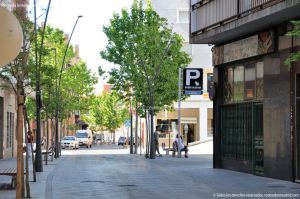 Foto Paseo de Castilla 5
