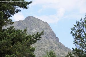 Foto Parque Regional de la Cuenca Alta del Manzanares 34