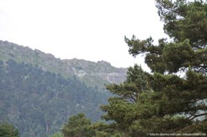 Foto Parque Regional de la Cuenca Alta del Manzanares 39