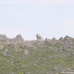 Foto Parque Regional de la Cuenca Alta del Manzanares 42