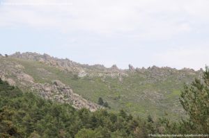Foto Parque Regional de la Cuenca Alta del Manzanares 43