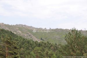 Foto Parque Regional de la Cuenca Alta del Manzanares 44