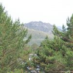 Foto Parque Regional de la Cuenca Alta del Manzanares 50