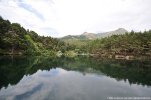 Foto Parque Regional de la Cuenca Alta del Manzanares 52