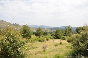 Foto Parque Regional de la Cuenca Alta del Manzanares 58