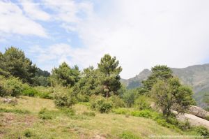 Foto Parque Regional de la Cuenca Alta del Manzanares 65