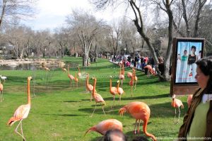 Foto Zoo Acuarium de Madrid 3