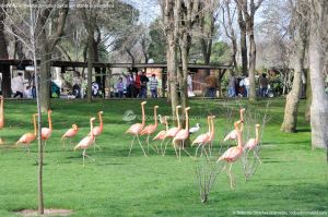 Foto Zoo Acuarium de Madrid 14