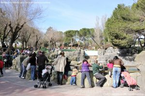 Foto Zoo Acuarium de Madrid 32