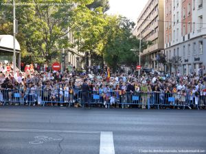 Foto Desfile del 12 de Octubre - Día de la Fiesta Nacional de España 158
