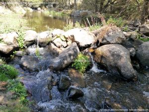 Foto Piscinas naturales y Zona de baño en el Río Aceña 37